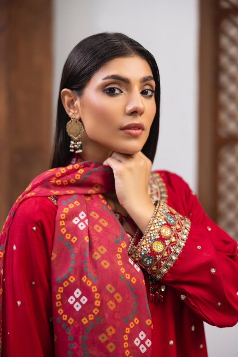 HL-605 | Ruby Red Embroidered Viscose Suit – Winter Festive Edition