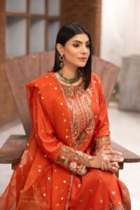 HL-608 | Burnt Orange Embroidered Viscose Suit – Winter Luxury Collection